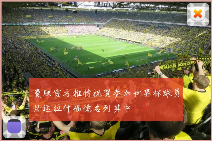 曼联官方推特祝贺参加世界杯球员好运拉什福德名列其中