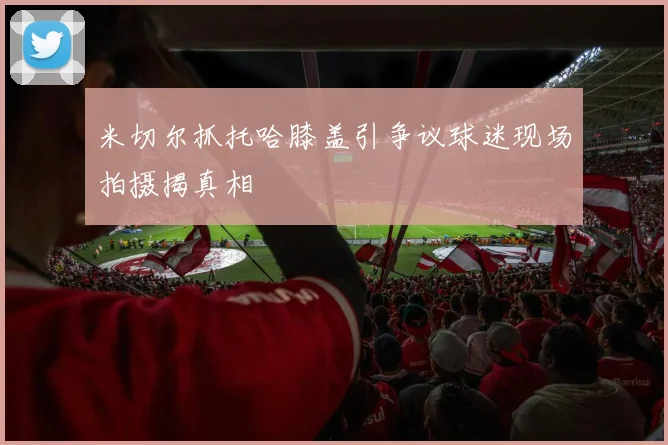米切尔抓托哈膝盖引争议球迷现场拍摄揭真相