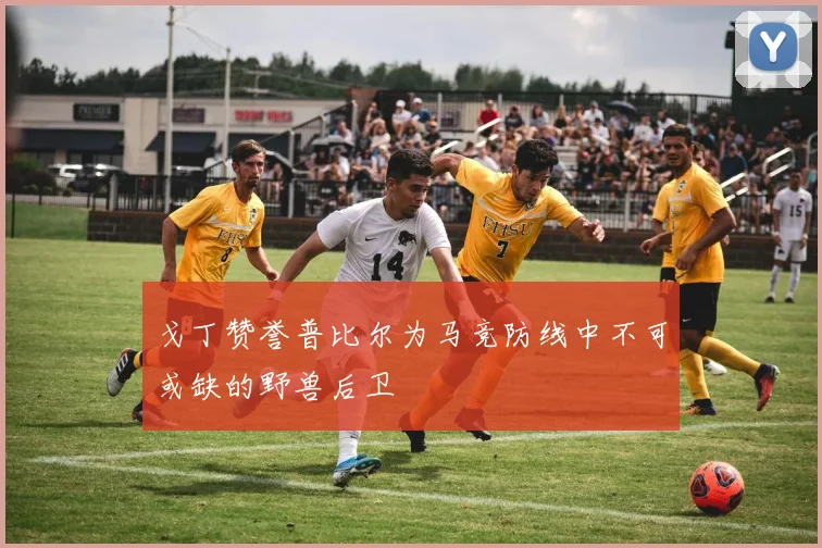 戈丁赞誉普比尔为马竞防线中不可或缺的野兽后卫